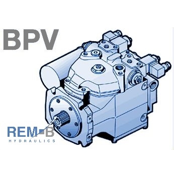 BPV100-01