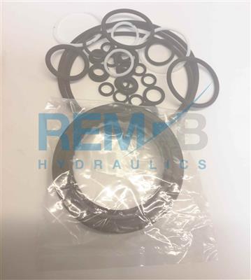 SEAL KIT FOR PUMP W/O CONTROLLER 55MM VITON (DT)