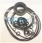 SEAL KIT FOR PUMP W/O CONTROLLER 40MM (DT)