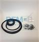 SEAL KIT FOR PUMP W/O CONTROLLER (DT)